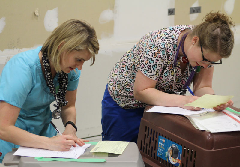 Veterinary health teams keeping accurate intake and medical records