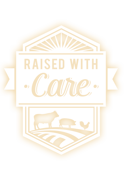 icare-logo.png