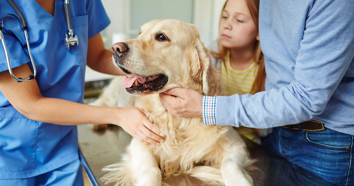 Alberta Animal Health Source Veterinarianapproved online resource