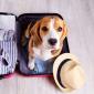 beagle in a suitcase traveling with dogs