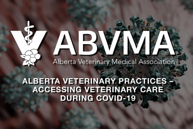 Alberta Veterinary Practices Accessing Veterinary Care During Covid 19 Alberta Animal Health Source