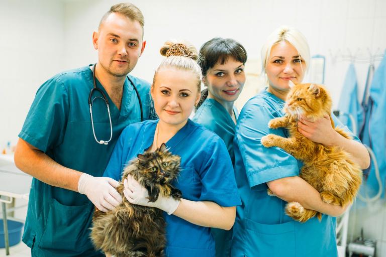 What is a Veterinary Technologist? | Alberta Animal Health Source