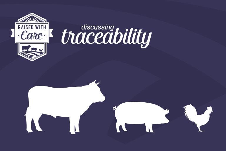 Discussing Traceability