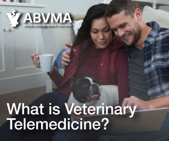 What Is A Veterinary Technologist Alberta Animal Health Source